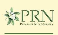 prn-logo