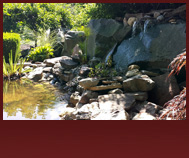 Water Features and Drainage Solutions